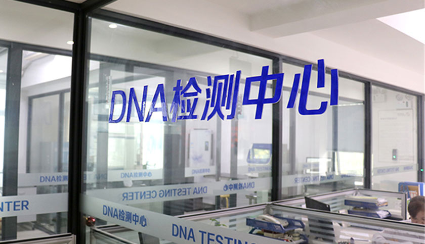 權威DNA鑒定機構，檢測報告全國有效!